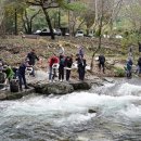 다슬기 반딧불이 이미지