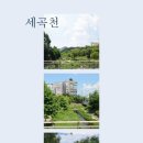 강남메가부동산공인중개사사무소 네이버블로그