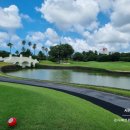 동부권 골프연습장 이미지