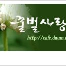 꿀벌사랑 이미지
