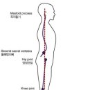 피지컬 박스 PT 이미지