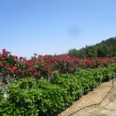 선월농장 이미지