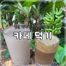 팔봉수피아 | 익산 바나나온실이 있는 애견동반 대형카페, 카페덕기 내돈내산 솔직후기