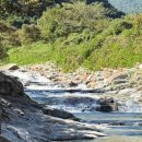 산청 지리산반달캠핑장 이미지