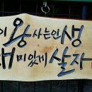 하믄 이미지