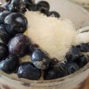 달샘트리 이미지