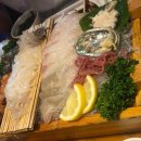 닭나라 정 이미지