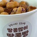 미룡동커피 | 군산 미룡동 호떡나라 국화빵 땅콩빵 맛집 후기