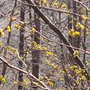 주막거리추어탕 이미지