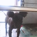 완도동물병원 이미지