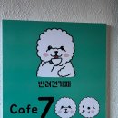 멍블랑 반려견미용실 | 서울 강서구 화곡동 &#39;카페 700&#39; , 목포 산정동 &#39;멍블랑&#39; 시공 후기
