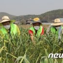 이석용농장 이미지