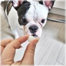 (주)이엘티사이언스 이미지