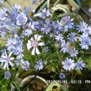 선산대로3-3 이미지