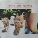 900182 이미지