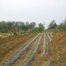 순열농장 이미지