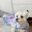 엘드안즈