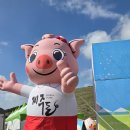 (주)센트디아 이미지