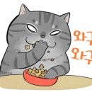 삼겹본능공수간 이미지