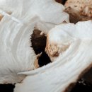 번덕농장 이미지