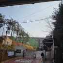 도곡중학교 | 2025년 제2회 JLPT 일본어 능력 시험 후기