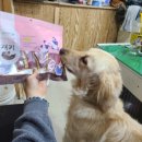 사료할인매장 이미지