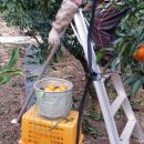 진표농장 이미지