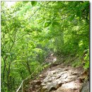 이야기가 있는 생태 탐방로 이미지