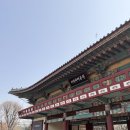 유우동돈까스 | 아이와가볼만한곳 서울 어린이대공원 동물원 입장료 및 팔각당키즈카페 이용 후기