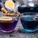 블루티(BLUE TEA)
