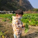 무랑농장 이미지