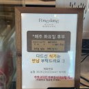 시흥 배곧 브런치 맛집 퐁당퐁당브런치 루꼴라떡볶이 와사비크랩샌드위치 내돈내산