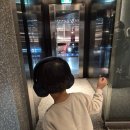 포포인츠 바이 쉐라톤 강남 조식 후기 메리어트 본보이 카드로 워크인 이용 꿀팁