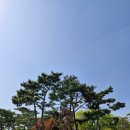 상무시민공원 | 상무지구 상무시민공원 아이와 다녀온 후기 주차 놀거리 정리