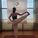 라차차 | 아쉬탕가 요가 자격증 수료 과정 후기 아쉬탕가 살린요가 본점