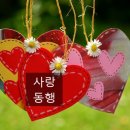 (사)한국중증복지장애인협회 이미지