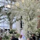 벽산오피스(1층) 개방화장실 | 성남, 더 바실리움 웨딩홀 후기(계약 완료, 견적 공유 없음)