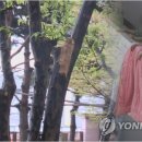 털다