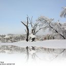설국 - 강남구 남부순환로 2806 | 설국
