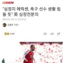 "심정지 에릭센, 축구 선수 생활 힘들 듯" 英 심장전문의 이미지