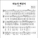 하늘의 백장미 (1966년, 월견초 작사, 김부해 작곡) 이미지