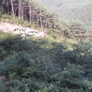 태산농장 이미지