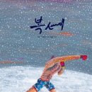 그림책 꽃이 피었습니다 이미지
