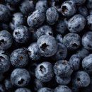 올래농장 이미지