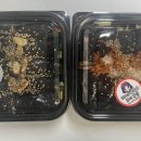 김밥먹는백설공주