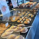 하스커피 이미지