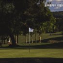 송전스크린골프 이미지