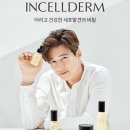 탑인셀덤
