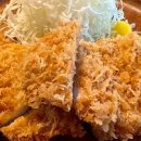 스테이 호자 이미지