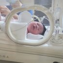 평내약국 | 초산모의 1박 2일 유도 분만 후기 (평내 조은 산부인과)